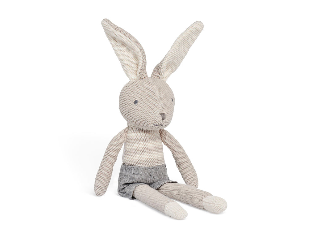 Stuffed Animal Bunny