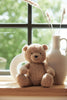 Peluche Teddy Bear - Biscuit